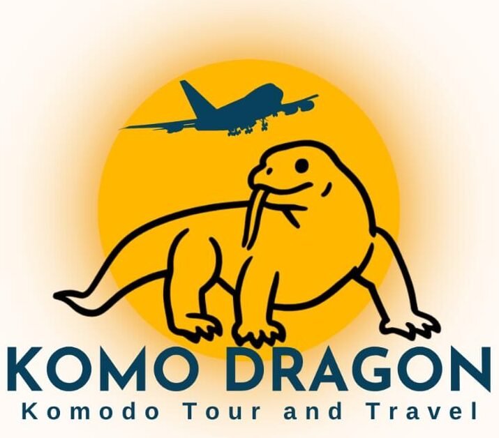 komodragon.com